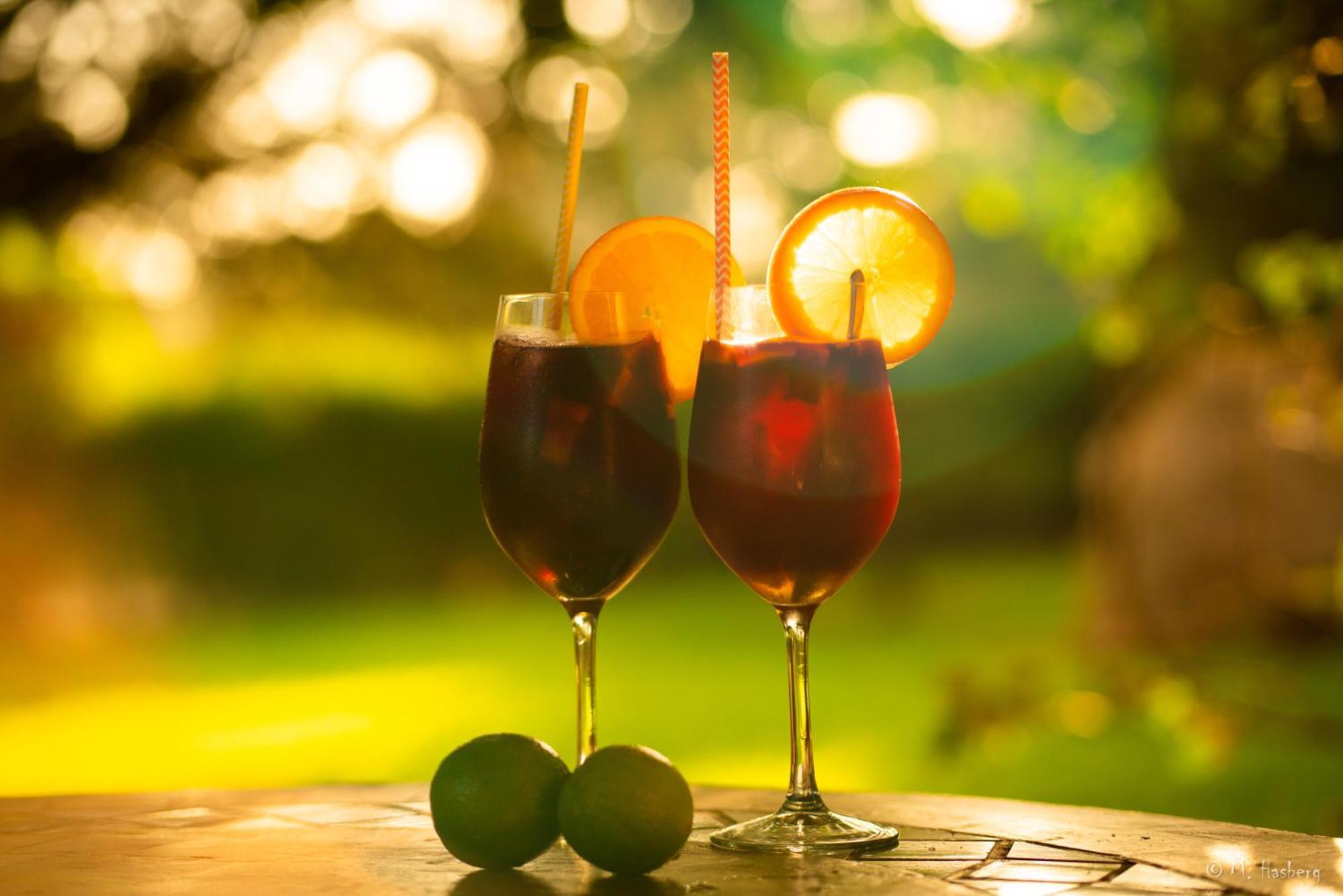 Alloggio per agriturismo Son Barcelo Mas Campos (Mallorca)
