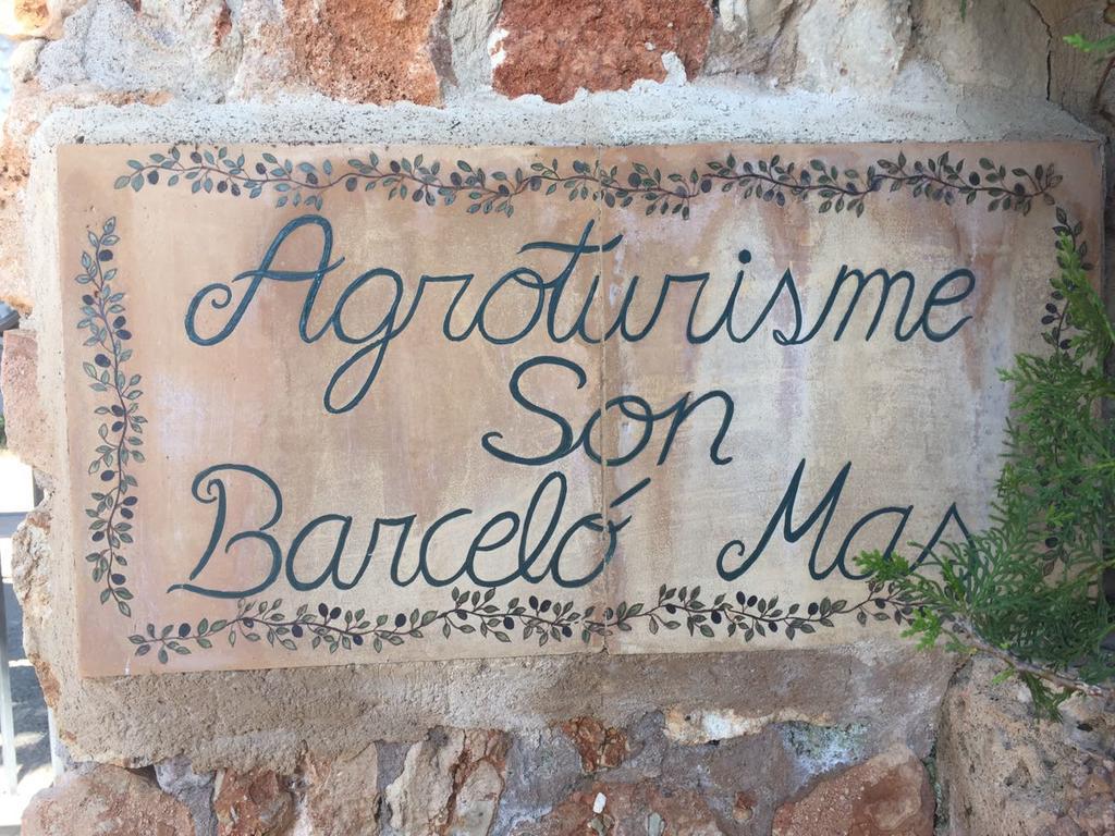 Alloggio per agriturismo Son Barcelo Mas *
